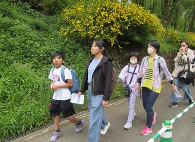羊山公園